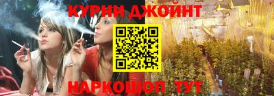 тгк Шебекино