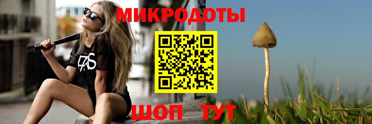 Великий Новгород  Галлюциногенные грибы MAGIC MUSHROOMS  Вход с VPN 